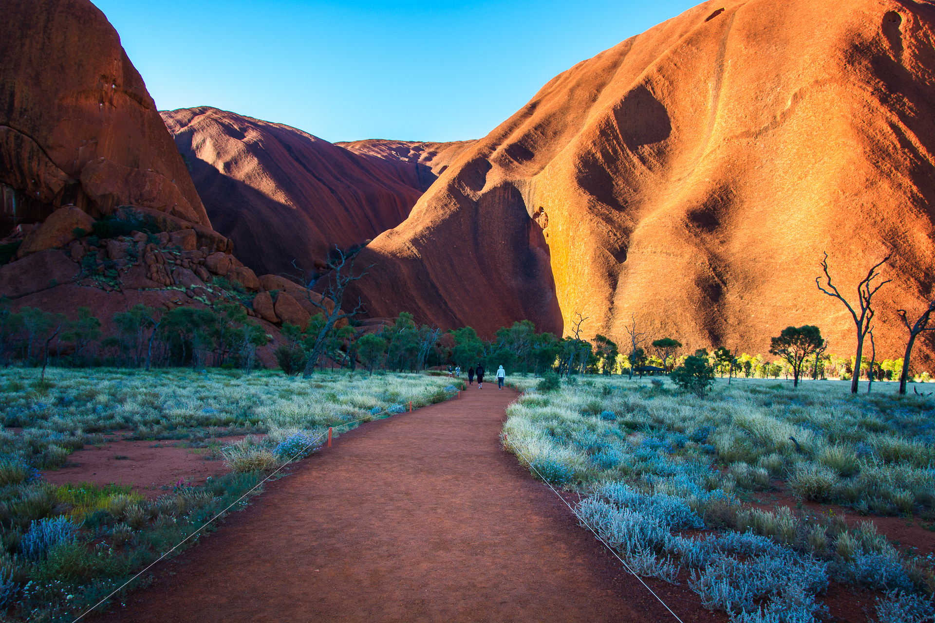 Fotografía del proyecto Australia del portfolio de Mimetiz